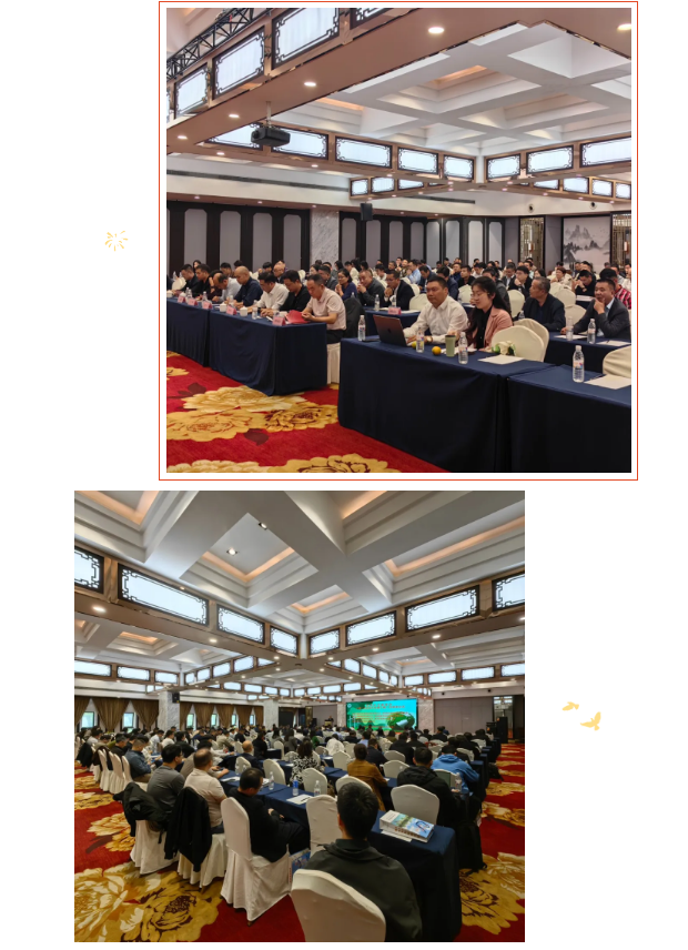 1761542061908361.png 5d3bca3b-cbc6-45e1-84d1-64b54c1c85d9.png